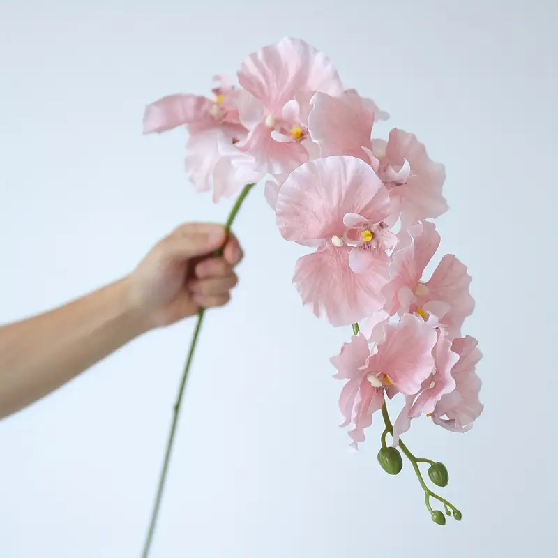 String Of Pearls Plant - Lange Zweig Schmetterling Orchideen Künstliche Blumen
