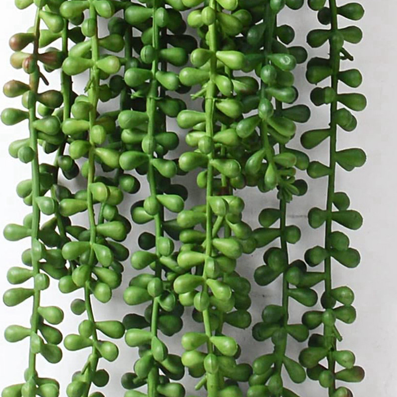Künstliche Plastikpflanzen, Ra – String Of Pearls Plant Bewertung und Preis