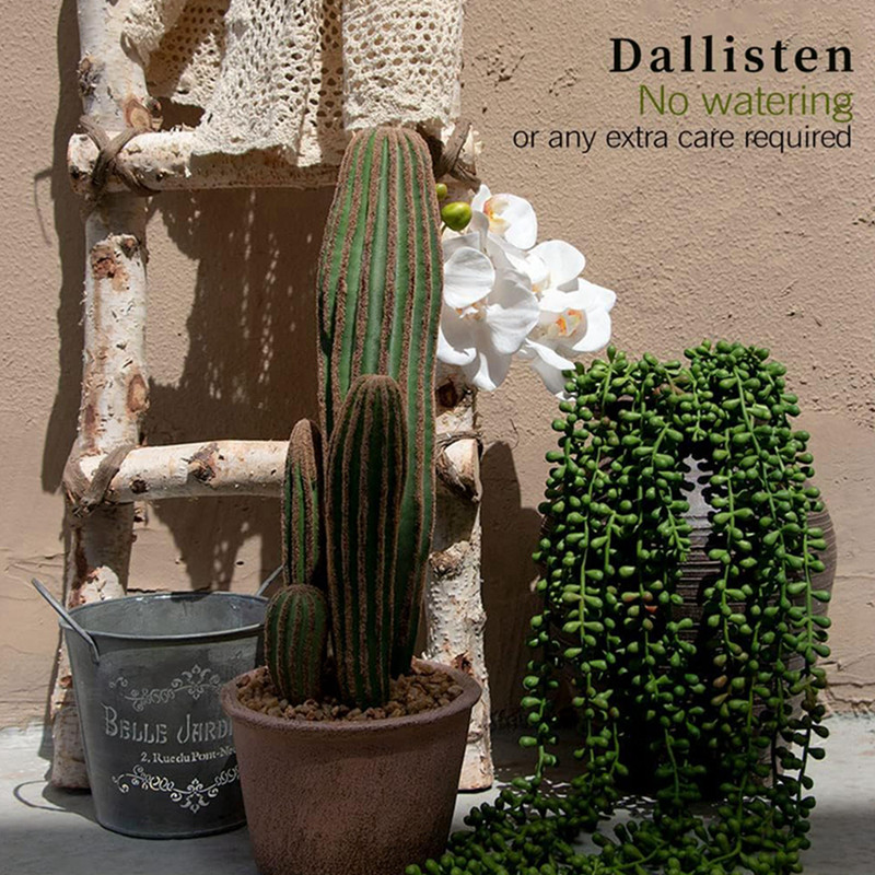 Künstliche Plastikpflanzen, Ra – String Of Pearls Plant Bewertung und Preis