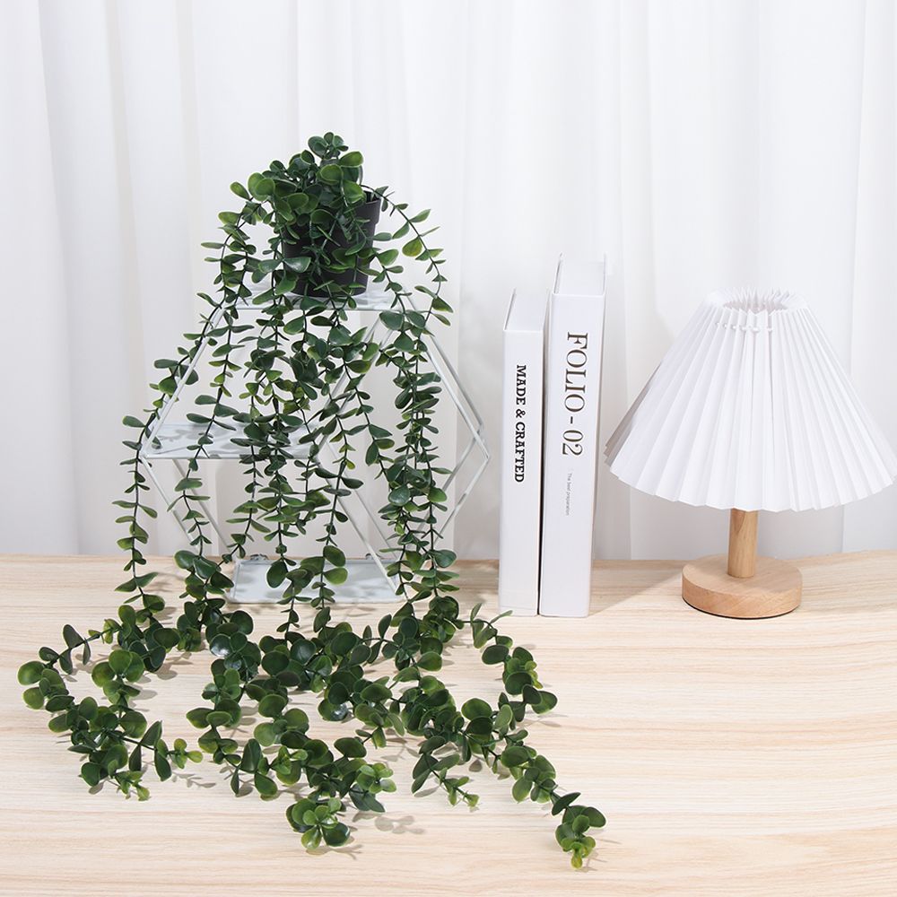 Künstliche Hängepflanzen mit T – String Of Pearls Plant Bewertung und Preis