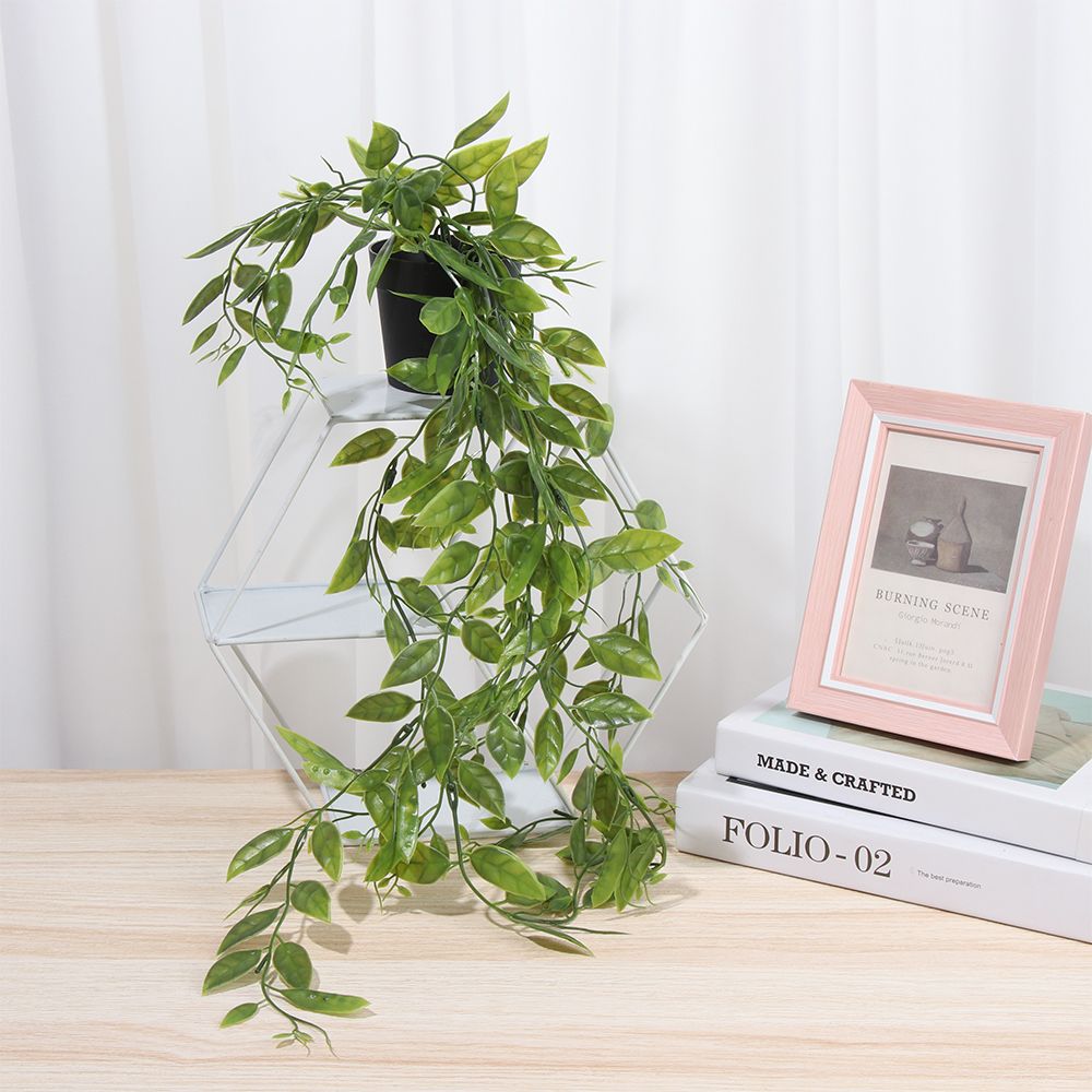 Künstliche Hängepflanzen mit T – String Of Pearls Plant Bewertung und Preis