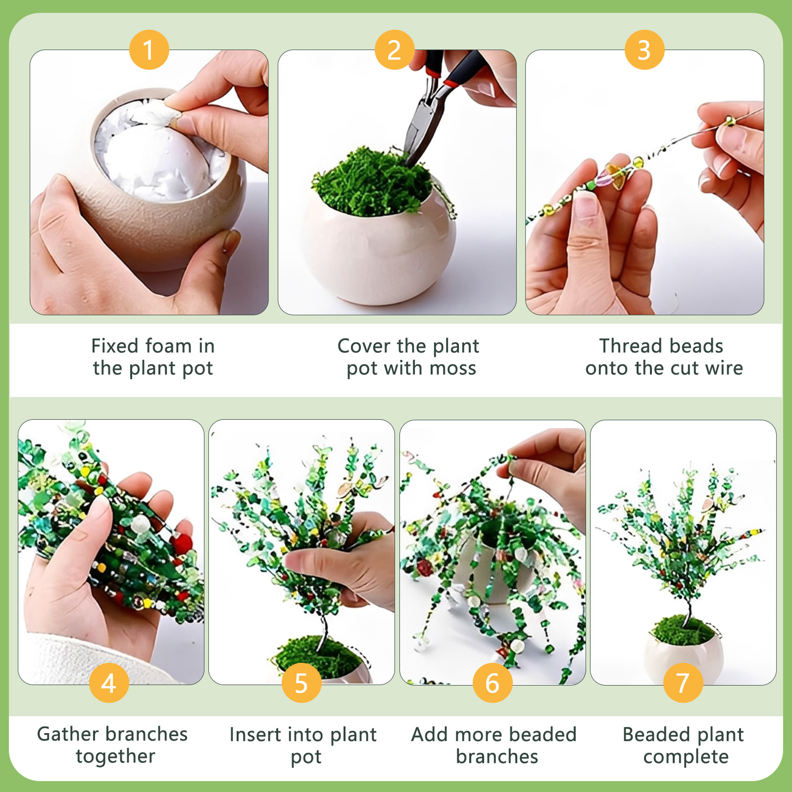 Glasperlen-Pflanzen-Set in Grü – String Of Pearls Plant Bewertung und Preis
