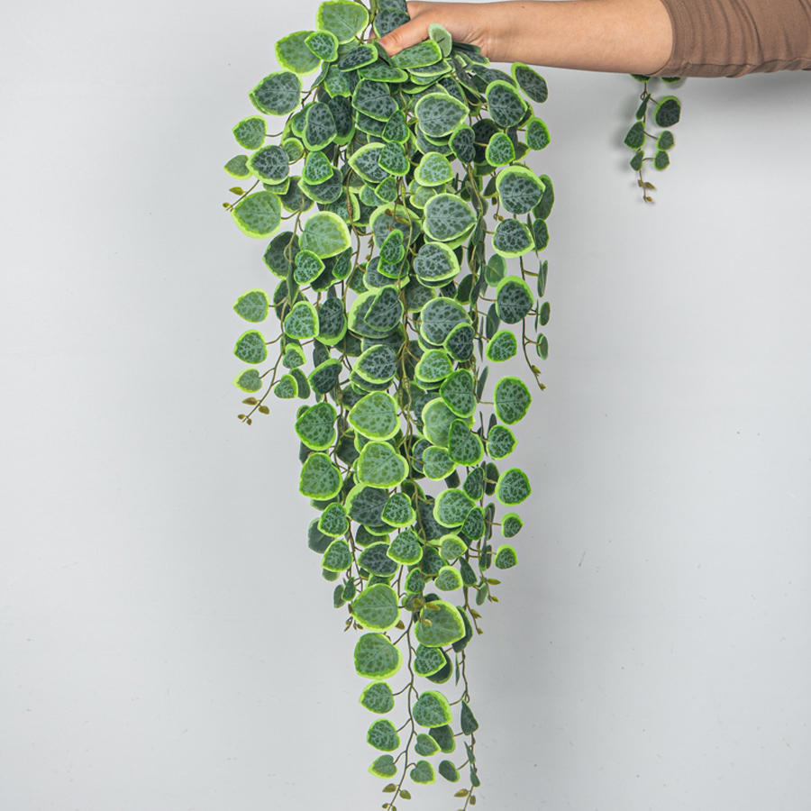 60–80 cm künstliche hängende R – String Of Pearls Plant Bewertung und Preis
