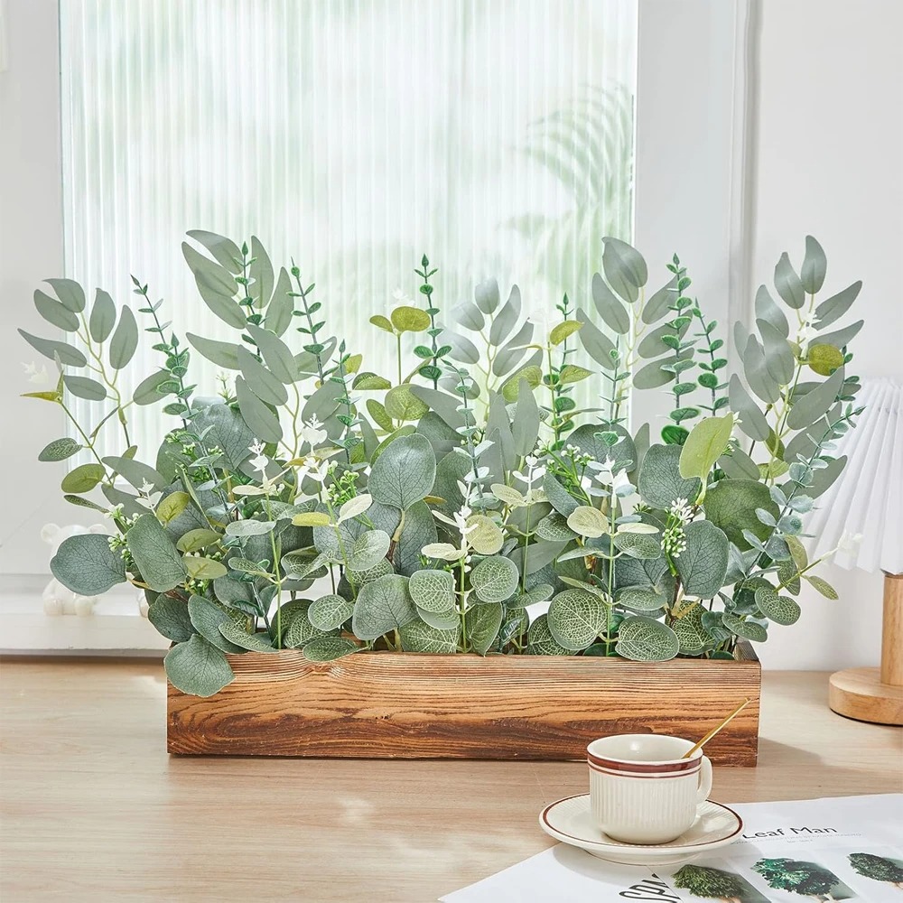 20 Stück Eukalyptusblätter, St – String Of Pearls Plant Bewertung und Preis