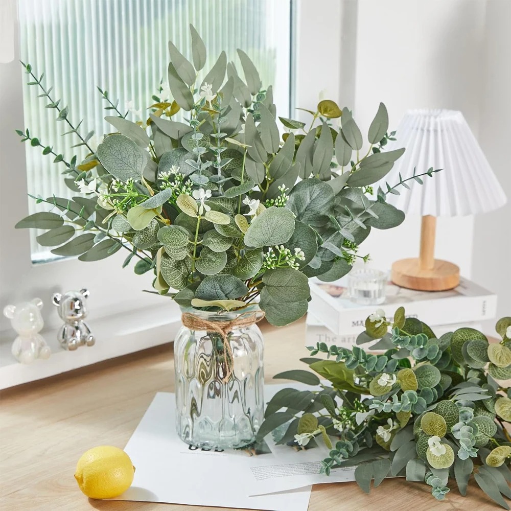 20 Stück Eukalyptusblätter, St – String Of Pearls Plant Bewertung und Preis